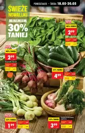 Biedronka gazetka tydzień 21 Strona 29