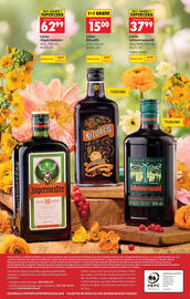 Biedronka gazetka | Alkohole Strona 36