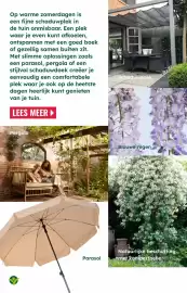 GroenRijk folder Pagina 13