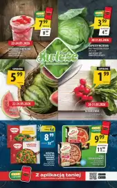 Arhelan gazetka Strona 2