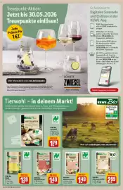 Rewe DE folder week 21 Pagina 13