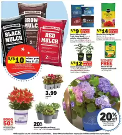 Meijer weekly ad week 21 Page 2