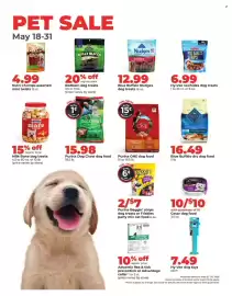 Hy-Vee weekly ad week 21 Page 42