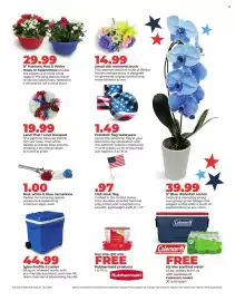 Hy-Vee weekly ad week 21 Page 8