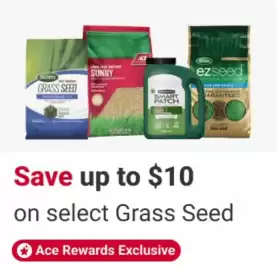 Ace Hardware flyer week 21 Page 11