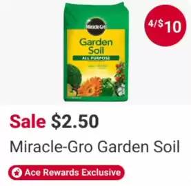 Ace Hardware flyer week 21 Page 19