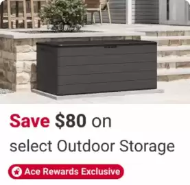 Ace Hardware flyer week 21 Page 23