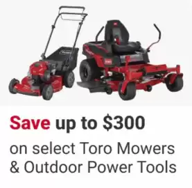 Ace Hardware flyer week 21 Page 6