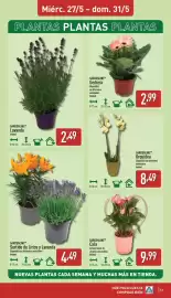 Folleto ALDI semana 22 Página 13
