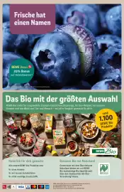REWE City Prospekt woche 21 Seite 34