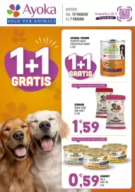 Volantino Ayoka Pagina 1