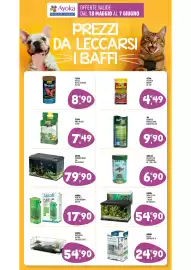 Volantino Ayoka Pagina 13