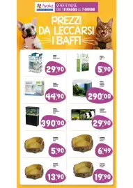 Volantino Ayoka Pagina 14