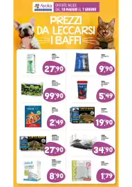 Volantino Ayoka Pagina 15