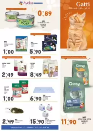 Volantino Ayoka Pagina 5