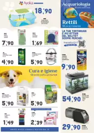 Volantino Ayoka Pagina 7