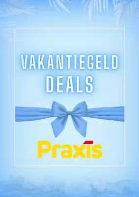 Praxis | Vakantiegeld (geldig t/m 6-06)