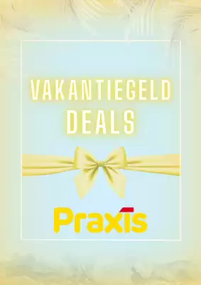 Praxis | Vakantiegeld (geldig t/m 6-06)