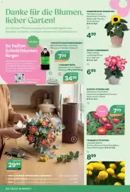 Bellaflora Flugblatt Seite 2