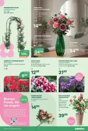 Bellaflora Flugblatt Seite 3