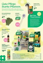 Bellaflora Flugblatt Seite 4