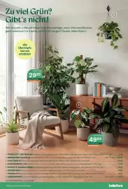 Bellaflora Flugblatt Seite 5