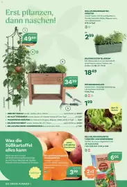 Bellaflora Flugblatt Seite 6