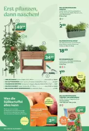 Bellaflora Flugblatt Seite 6