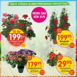 EKO reklamblad vecka 21 Sida 1