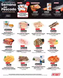 Catálogo Coto semana 21 Página 1