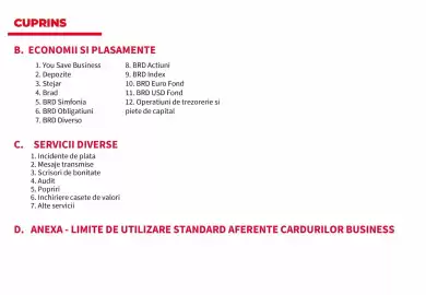 Catalog BRD Pagină 4