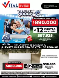 Catálogo Supermayorista Vital semana 21 Página 1