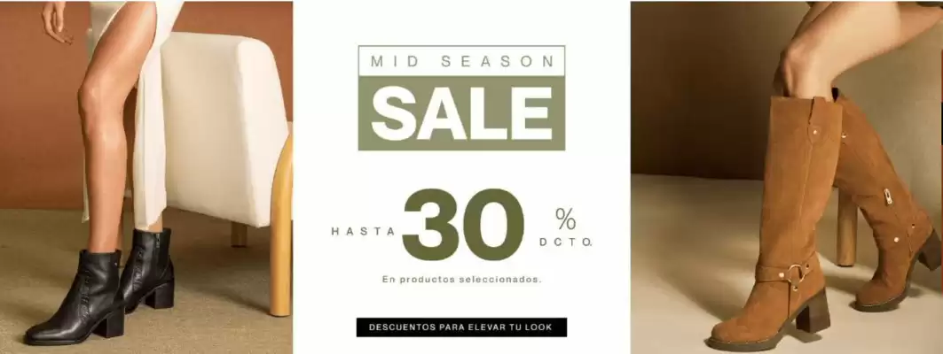 Pollini (válido hasta 24-05)