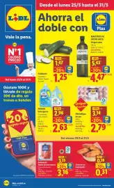 Catálogo Lidl semana 22 Página 1