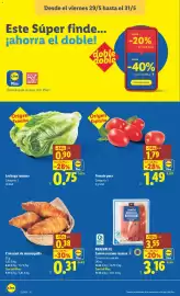 Catálogo Lidl semana 22 Página 16