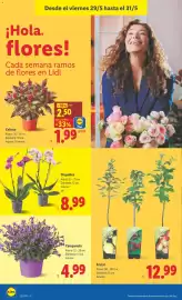 Catálogo Lidl semana 22 Página 34