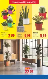 Catálogo Lidl semana 22 Página 35