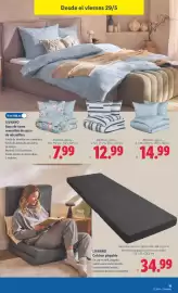 Catálogo Lidl semana 22 Página 31
