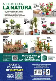Volantino In'S Mercato Pagina 14