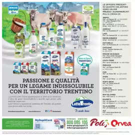 Volantino Poli Pagina 32