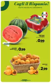 Volantino Ipercoop Pagina 26
