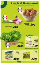 Volantino Ipercoop Pagina 29