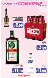 Volantino Ipercoop Pagina 7