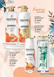 Catálogo Azzorti Página 13