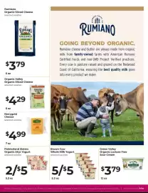 Lifethyme weekly ad Page 5
