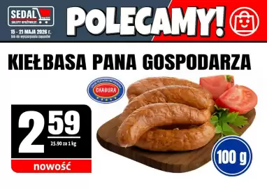 Sedal gazetka Strona 1