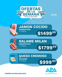 Catálogo APA Supermercados semana 21 Página 2