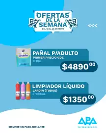 Catálogo APA Supermercados semana 21 Página 9