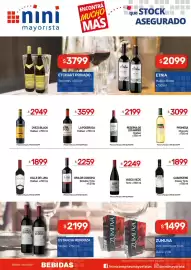 Catálogo Nini Mayorista semana 21 Página 17