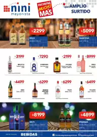Catálogo Nini Mayorista semana 21 Página 18